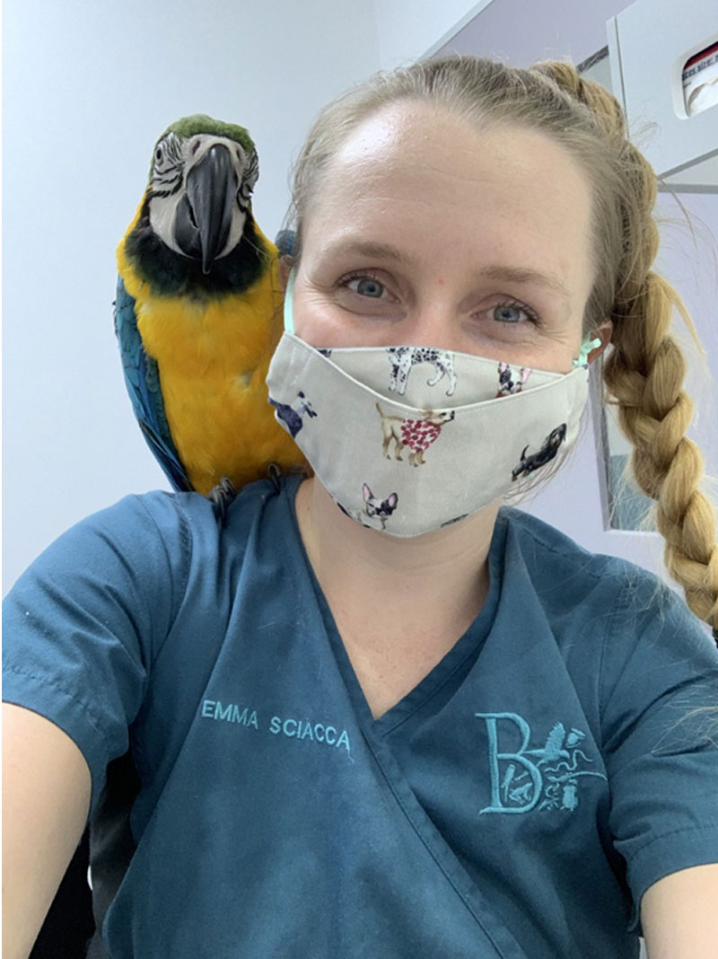 Avian and Exotics House Call Service - Dr Emma