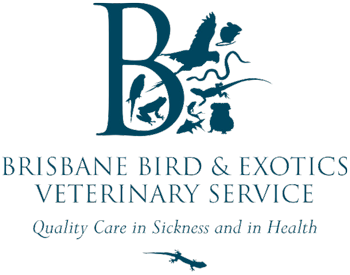 Brisbane Bird & Exotics Veterinary Service