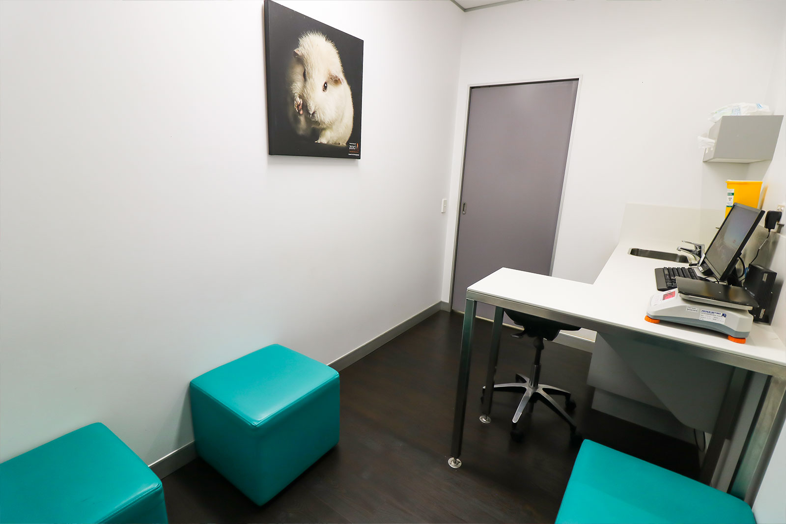 BBEVS - View Our Clinic - Consultation Room
